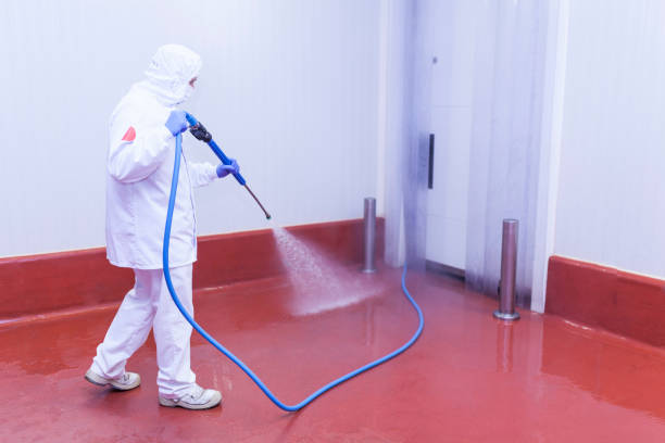 Best Driveway Pressure Washing  in Pollock Pines, CA