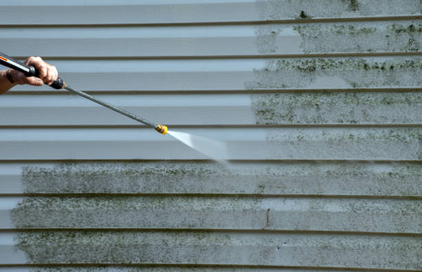 Best Gutter Cleaning  in Pollock Pines, CA