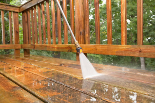 Animal Enclosure Cleaning in Pollock Pines, CA